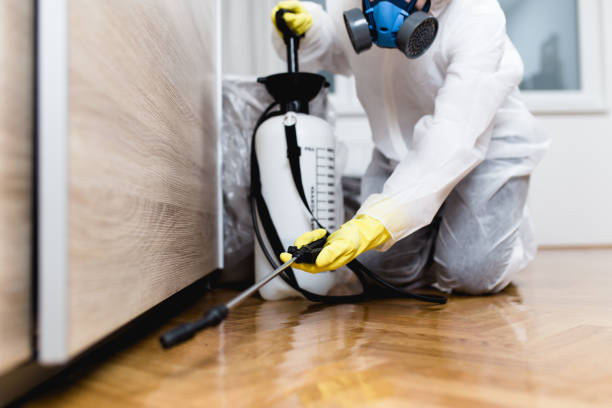 Best Ant Control Services  in Parker, FL