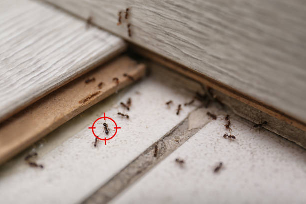 Best Commercial Pest Control Services  in Parker, FL