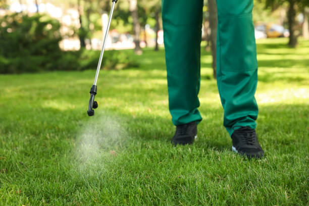 Wasp Removal Services in Parker, FL