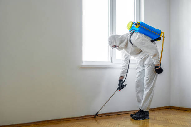 Best Mosquito Control Services  in Parker, FL