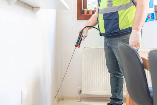 Best Wasp Removal Services  in Parker, FL