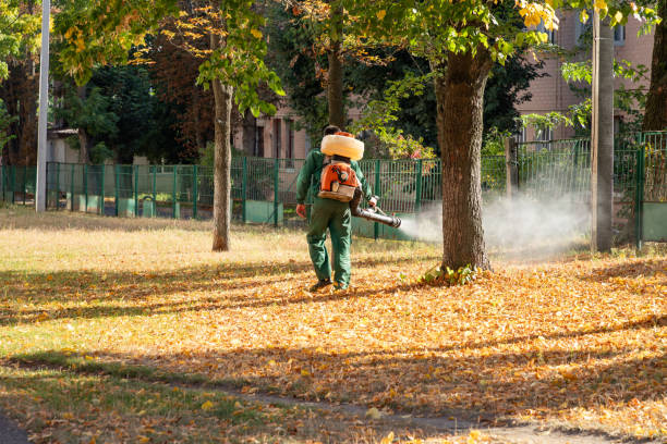 Best Affordable Exterminators  in Parker, FL