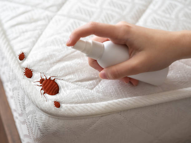Best Best Pest Control Companies  in Parker, FL