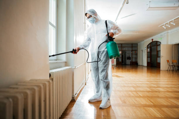 Best Rat Extermination Near Me  in Parker, FL