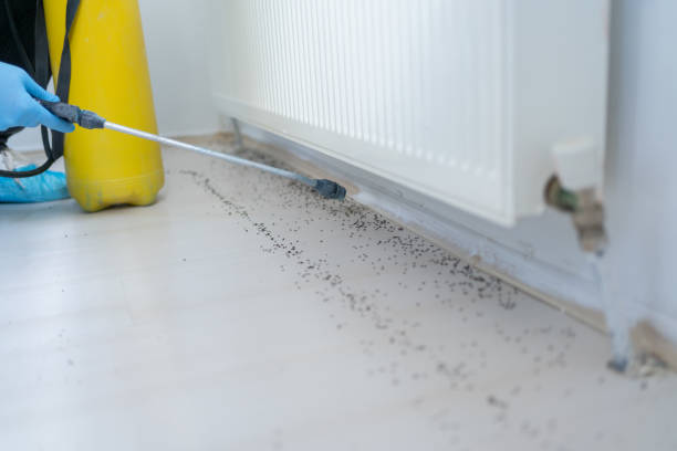 Best Wildlife Control Services  in Parker, FL