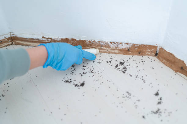 Best Affordable Pest Control Services  in Parker, FL