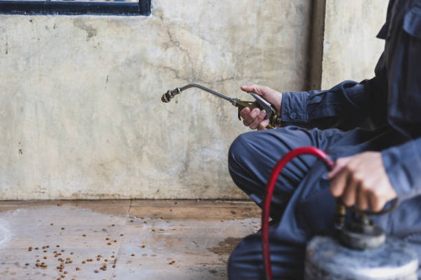 Best Best Pest Control Companies  in Parker, FL